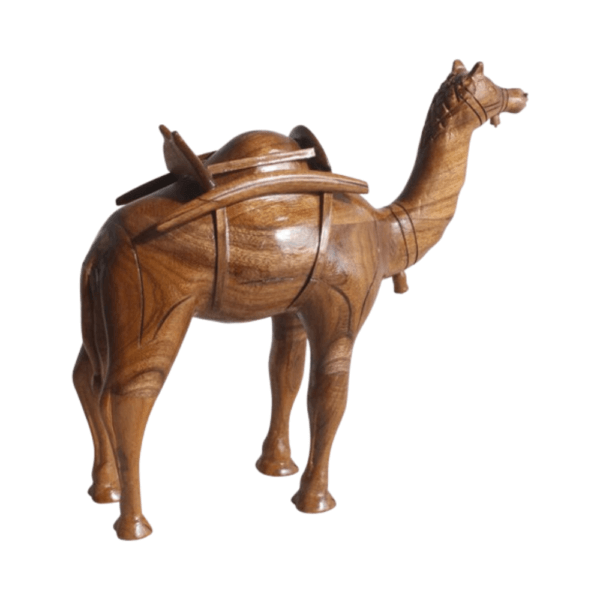 Camel for Increases Stamina To Work